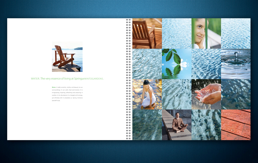 Spring at Minto Gardens Brochure